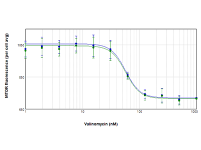 经 valinomycin 处理的 PC-12 细胞的 IC50 曲线