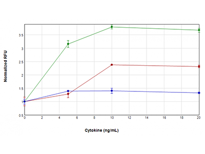 U937 细胞用浓度范围为 0 ng/mL 至 20 ng/mL 的 TNFα + GM-CSF（绿色图）、TNFα（红色图）或仅 GM-CSF（蓝色图）处理 48 小时