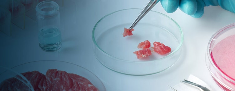 来自细胞培养的动物源性食品的细胞农业