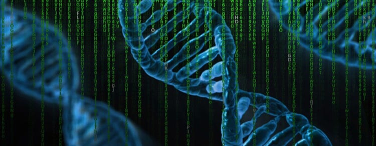 核酸 (DNA/RNA) 检测