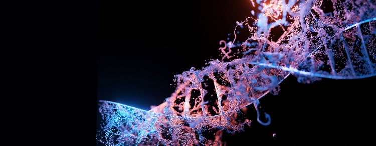 基因编辑（成簇规律间隔短回文重复序列 [CRISPR]/Cas9）