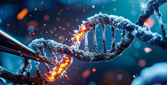 CRISPR-Cas9 在疾病研究和治疗中的应用