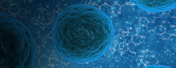 微生物学和污染物监测