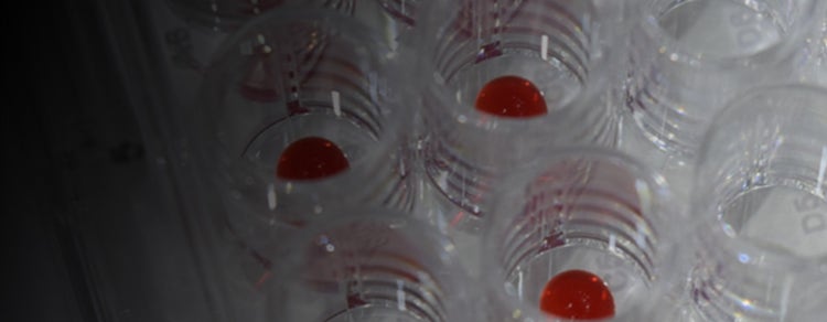 3D 生物打印