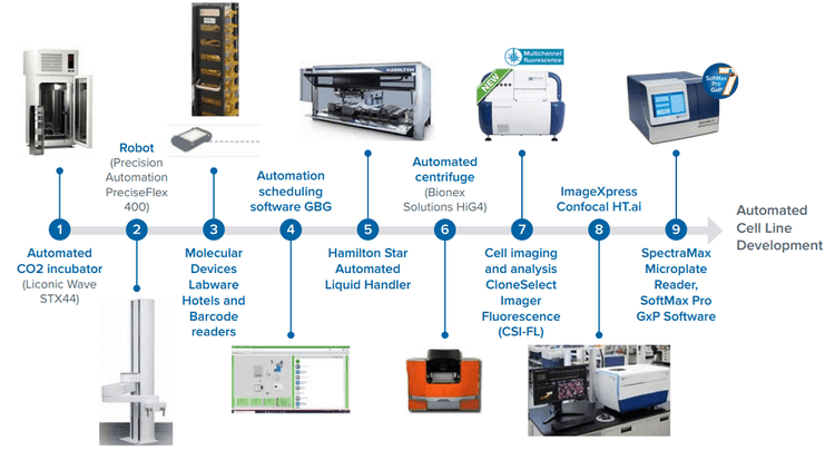 Workflow steps involved in a cell line development and integrated automated system for CRISPR