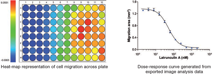 High quality data generation