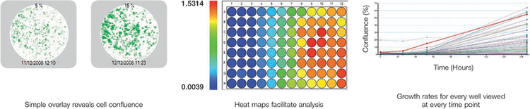 Rapid image generation and clear data analysis