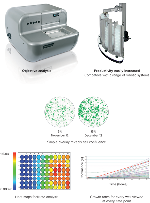 Rapid image generation and clear data analysis