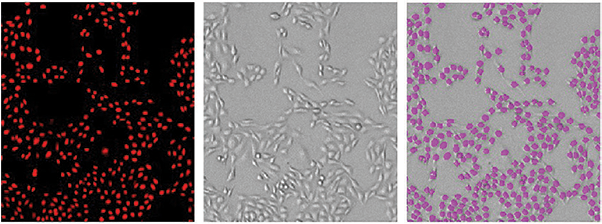 Cells counted with the MiniMax cytometer