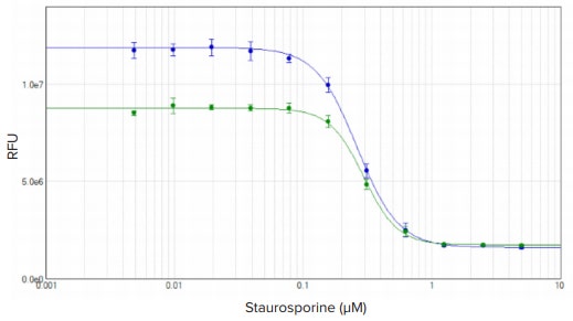 Concentration response curves for HeLa cells treated with staurosporine for four hours