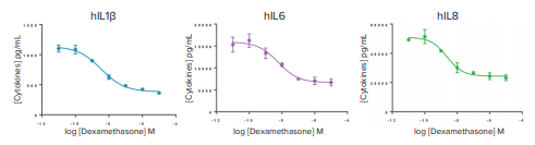 Effect of dexamethasone on cytokine secretion