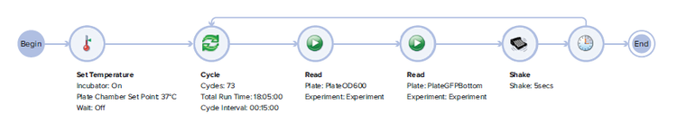 SoftMax Pro 7 Workflow Editor for a dual read mode kinetic reading