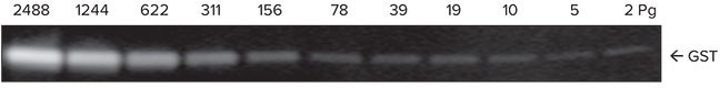 Image of GST dilution series as scanned by SpectraMax Paradigm reader