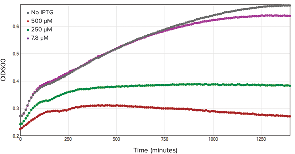 OD600 kinetic trace