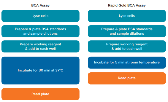 Comparison of assay workflow