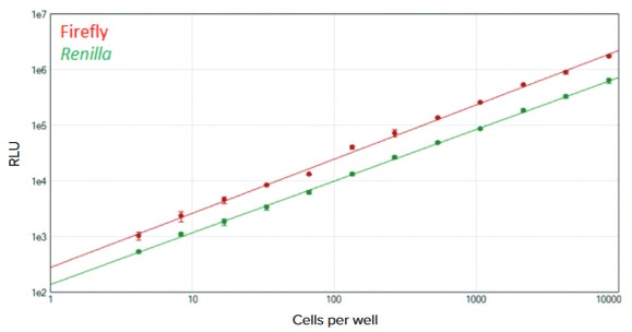 DuoLuc reporter assay in a 96-well format