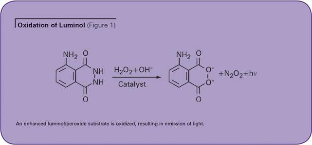 Chemiluminescent VEGF