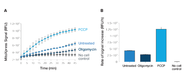 Cell-based oxygen consumption assay using MitoXpress Xtra