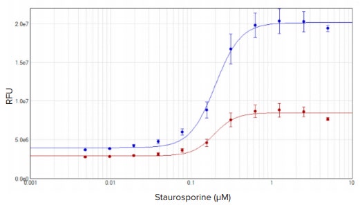 Concentration response curves for HeLa cells treated with staurosporine for four hours