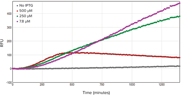 Fluorescence kinetic trace