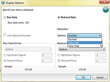 Display Options dialog box