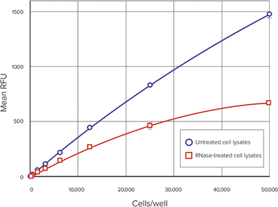 Comparison between RNase-treated and untreated cells