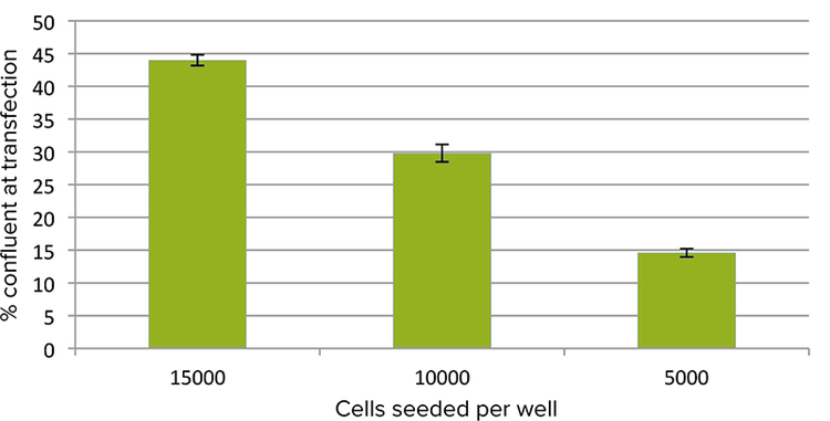 Cell confluence