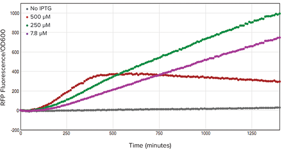 RFP/OD600 ratios