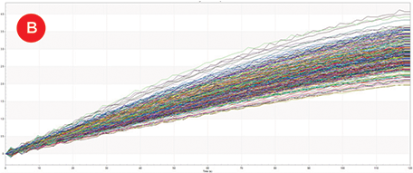 Protein A biosensor binding curves of IgG molecules