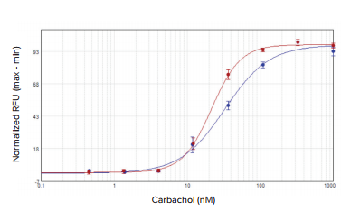 CHO M1WT3 agonist concentration response curves