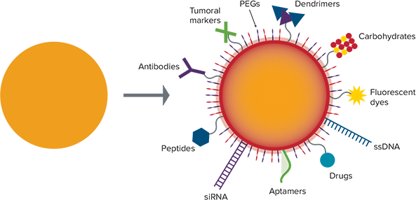 Diagram of surface functionalization of nanoparticles