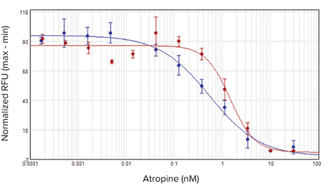 CHO M1WT3 antagonist IC50 curves