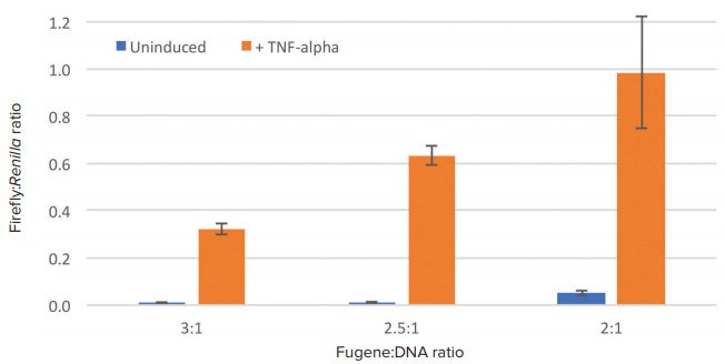 Normalized luciferase results