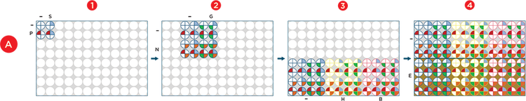 Span-8 pipettors were used to dispense reagents into deep well plates