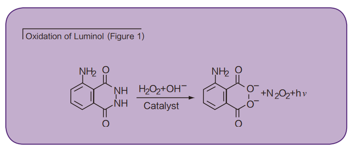 Chemiluminescent VEGF