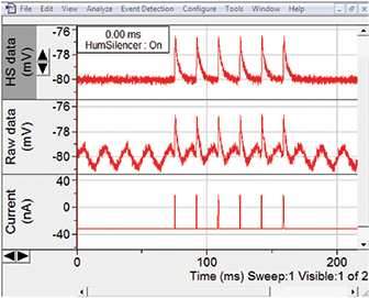 HumSilencer (HS) eliminates 60 Hz line-frequency noises but not 60 Hz end-plate potentials