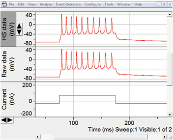 HumSilencer (HS) does not distort current-induced action potentials