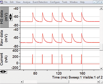 HumSilencer (HS) does not eliminate 60 Hz end-plate potentials