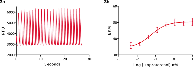 Isoproterenol β adrenergic agonist