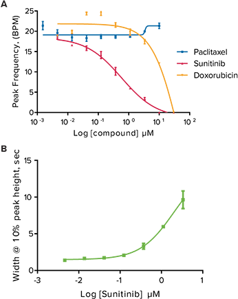 Anticancer compound
