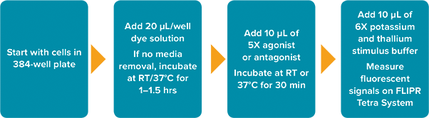 FLIPR Potassium Assay Kit workflow on the FLIPR Tetra System