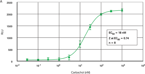 Carbachol dose-response curves