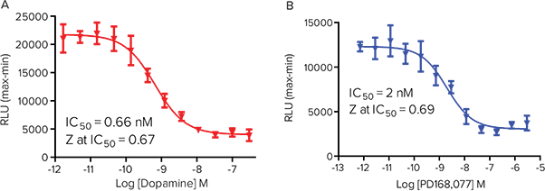 HEK 293 cells over expressing Gi -coupled D4 receptor