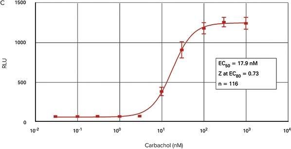 Carbachol dose-response curves