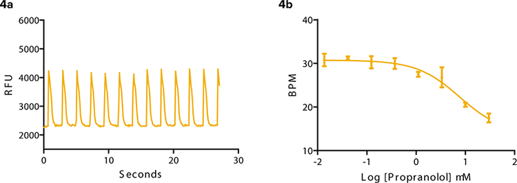 Propranolol, a β adrenergic antagonist slows beat frequency in iPS cell-derived cardiomyocytes