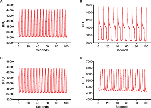 Calcium oscillations