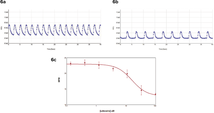 Calcium transient signals from COR.4U iPSC cardiomyocytes