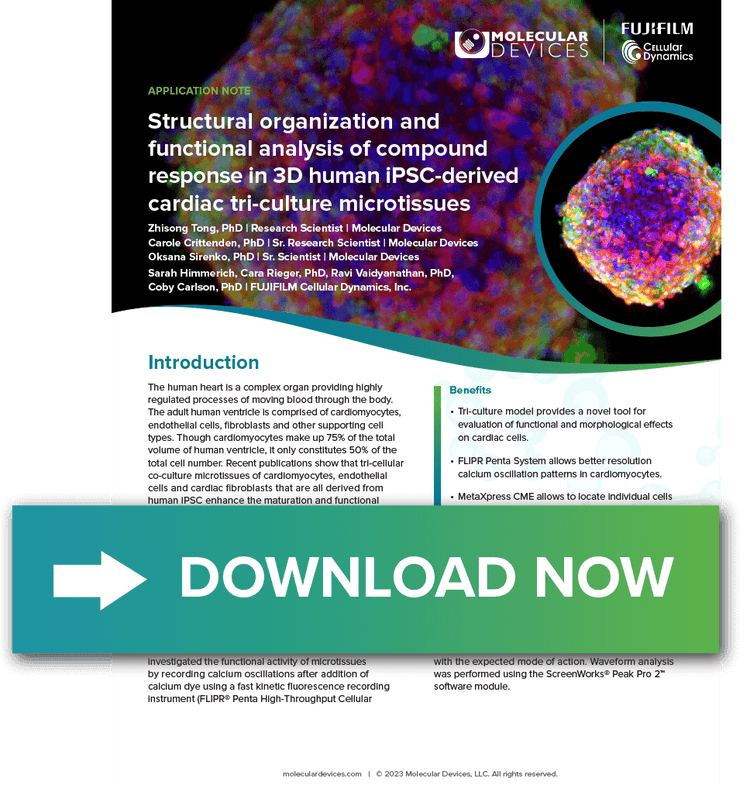Tri-culture microtissues App note