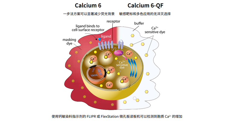 Assay flexibility with or without masking technology