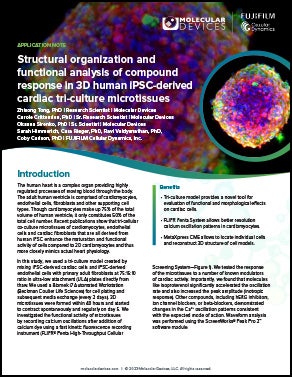 Tri-culture microtissues App note